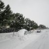 la grande nevicata del febbraio 2012 020
